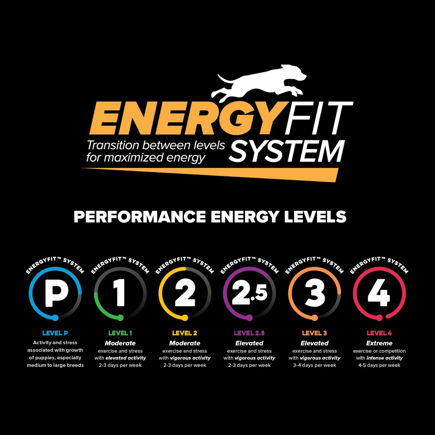 An infographic showing the EnergyFit System for dog performance levels. The logo features a white running dog silhouette above orange text. Below are six circular badges arranged horizontally, each showing different energy levels from P to 4. Each badge has a different colored rim (blue, green, yellow, purple, orange, and red) and contains a number on a black background. Level P: Activity for growing puppies, especially medium to large breeds
Level 1: Moderate exercise, 2-3 days per week with elevated activ