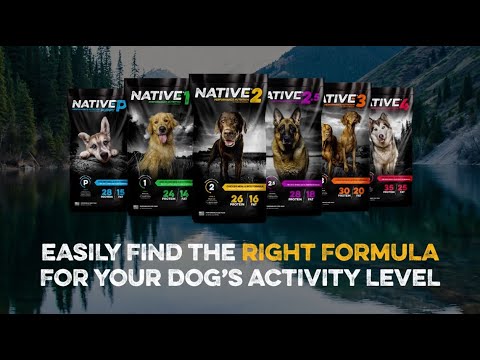 Native Level 2.5 | High Protein Dog Food | Native Dog Food