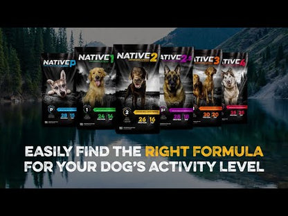 Native Level 3